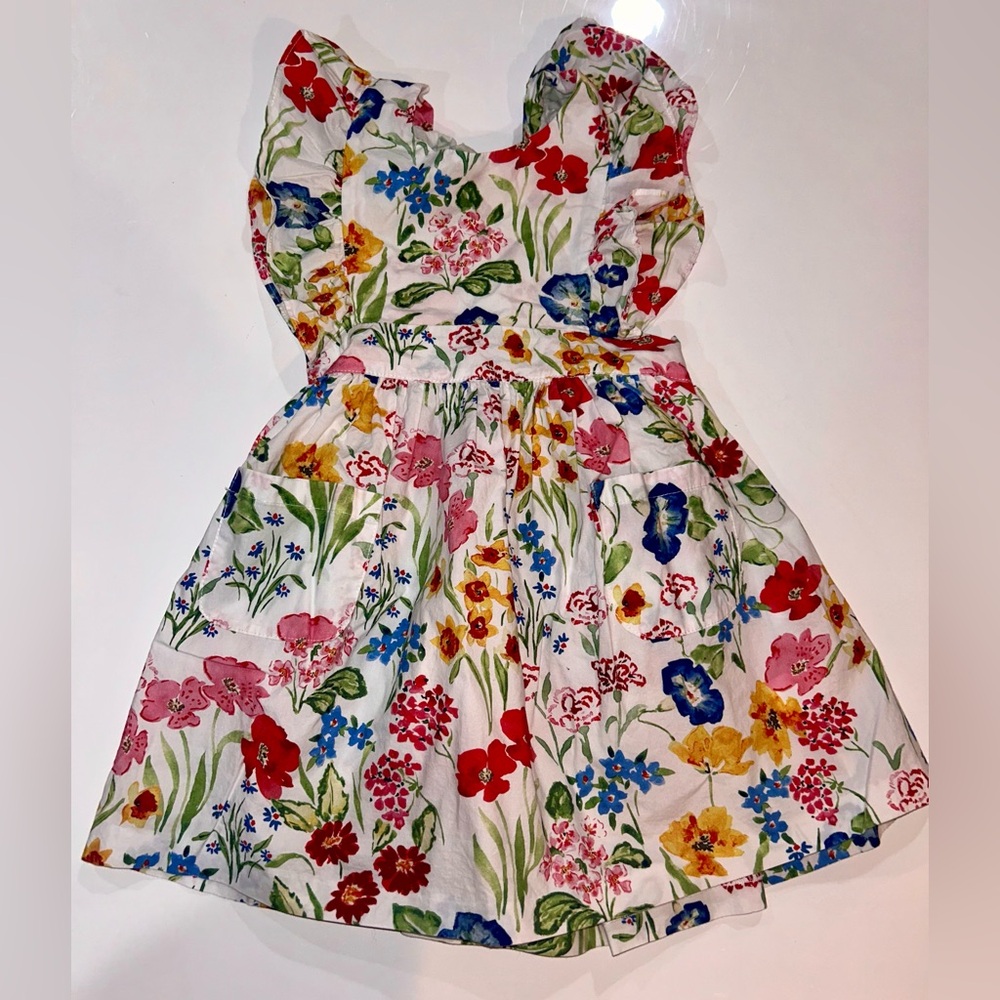 Cara Cara Colorful Floral Dress size 4